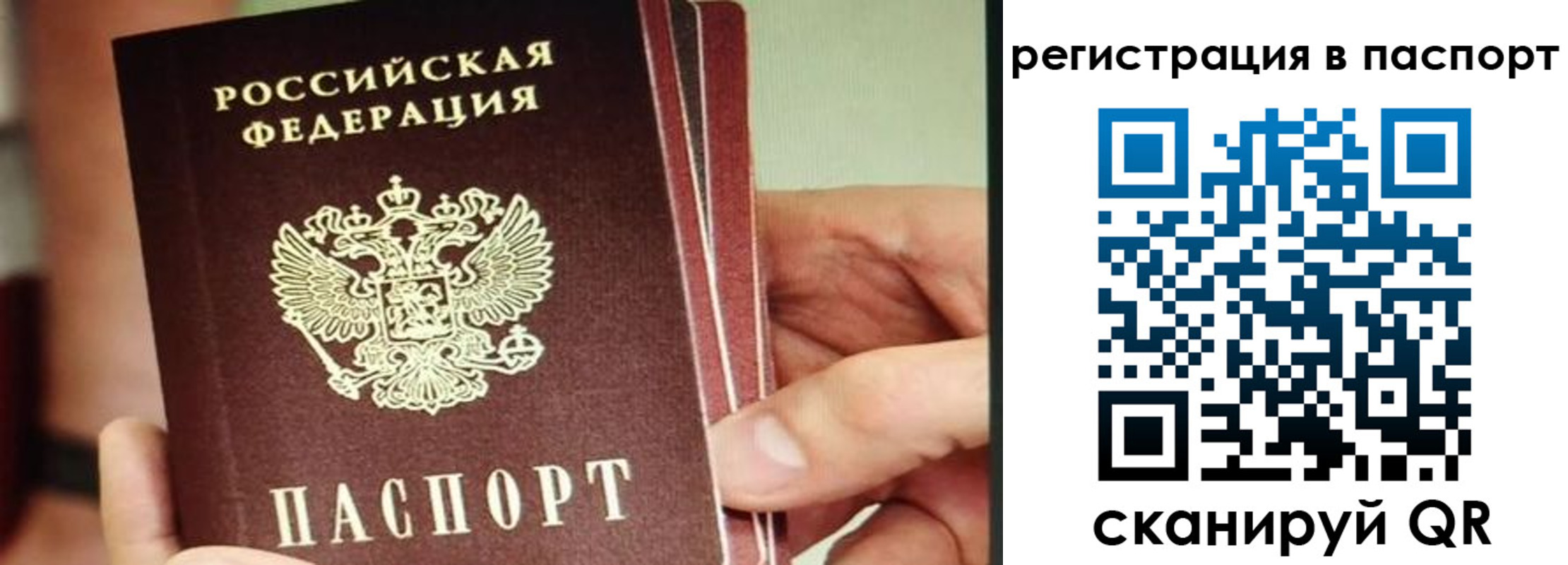 временная регистрация надежно в Челябинской области